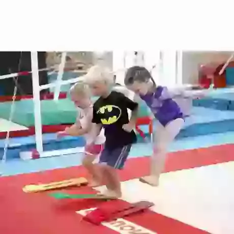 Horsham Gymnastics Centre — Gymnastics in New Town, Horsham